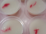Puding Susu Semburat Warna