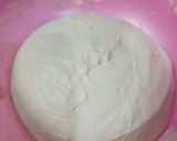 Foto langkah ke 4 dari resep Rustic Bread.