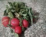 Une image de l'étape 1 de Salade de radis.