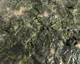 Foto del paso 8 de la receta: Spanakopita: Filo con espinacas y acelgas