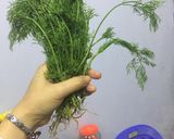 Hình bước làm 2 của món Cháo cá chép