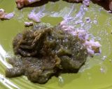 Foto del paso 3 de la receta: Mayonesa de verduras