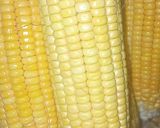 A picture of step 1 of Butter Fried Corn.