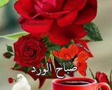 صورة لخطوة 4 من وصفة قهوة الصباح التركية🇹🇷 لتعديل المزاج 👌👌