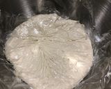 Foto del passaggio 2 della ricetta Pizze al piatto (67% idratazione) 🍕