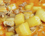 A picture of step 7 of Chinese-Style Pork Curry with Winter Melon.