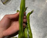 A picture of step 1 of Broad beans snack (fava beans).