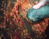 Foto langkah ke 1 dari resep Sambal bangkok.