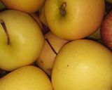 عکس مرحله 1 از دستور آب سیب طبیعی 🍎