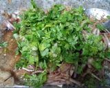 A picture of step 8 of Onion salad.