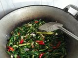 Udang Kecil Tauco