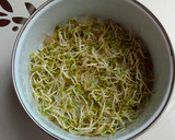 Foto del paso 8 de la receta: Brotes de fenogreco
