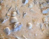 Foto del paso 5 de la receta: STROGONOFF DE SOLOMILLO (al estilo Brasilero) 🤗😋🤩🥰 ESTROGONOFE SIMPLES 🥰👏❤️