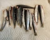 Foto del paso 2 de la receta: Sardinitas o Boquerones en Freidora de aire sin harina