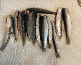 Foto del paso 2 de la receta: Sardinitas o Boquerones en Freidora de aire sin harina