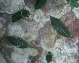 Foto del paso 5 de la receta: Tapa de asado tierna exquisita