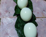 Foto del paso 4 de la receta: Rollo de pollo como matambre