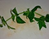 A picture of step 5 of Vietnamese style ribletes.