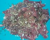 Borjúhúsos enchilada gluténmentes tortillában recept fázis 1 fotója