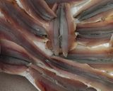 Foto del paso 1 de la receta: Boquerones en salsa de tomate picante