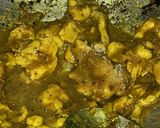 รูปขั้นตอนการทำที่ 4 ของ เครื่องแกงไก่(ผัดเผ็ดไก่เครื่องแกงใต้)