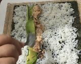 Foto del paso 14 de la receta: Norimaky (rollo con el alga cubriéndolo) y uramaky (con el alga por dentro) - Sushi