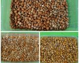 Foto langkah ke 1 dari resep Lentho Kacang Tolo / Kacang Beras.