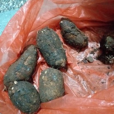 Langkah 2