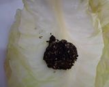 A picture of step 5 of Mushroom Cabbage Dumplings.