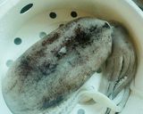 Gambar langkah 1 resipi Sotong Katak Masak Kunyit.