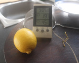 Foto del paso 3 de la receta: Queso amarillo de orégano