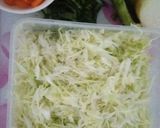 A picture of step 1 of Cabbage.