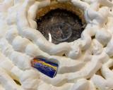 Foto del paso 21 de la receta: Roscón de Reyes sin gluten