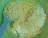 Foto langkah ke 2 dari resep Kastengel Ekonomis.