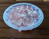 Foto langkah ke 3 dari resep Pudding Kelapa Muda.