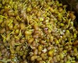 A picture of step 2 of Misal Pav.