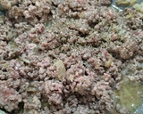 Foto del paso 2 de la receta: Pastel / lasaña de calabacín con carne picada
