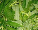 Foto langkah ke 1 dari resep Tumis Kangkung.