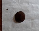 A picture of step 1 of Chocolate decor.
