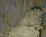 Foto del paso 2 de la receta: Masitas finas sin gluten