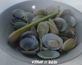 Foto langkah ke 4 dari resep 98. Remis Kuah Bening.