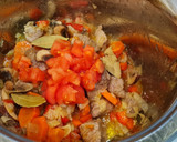 Foto del paso 4 de la receta: Ragout de ternera con boniatos