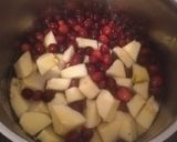 Une image de l'étape 1 de Confiture coing cranberries.