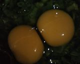 Foto langkah ke 2 dari resep Martabak telur.