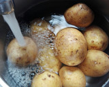 Foto del paso 2 de la receta: Papas con mojos canarios