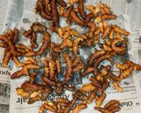 Foto langkah ke 4 dari resep Kunyit Gulas versi Ambyar Kitchen.