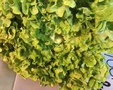 Une image de l'étape 4 de Salade de tomates,scarole,céleri et thon aux radis « fleurs ».