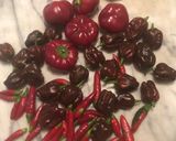 Foto del passaggio 1 della ricetta Salsa sriracha 2