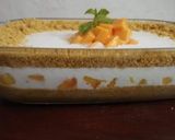 A picture of step 1 of Mango float.