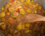 Une image de l'étape 2 de ☆Confiture de Mirabelles☆.